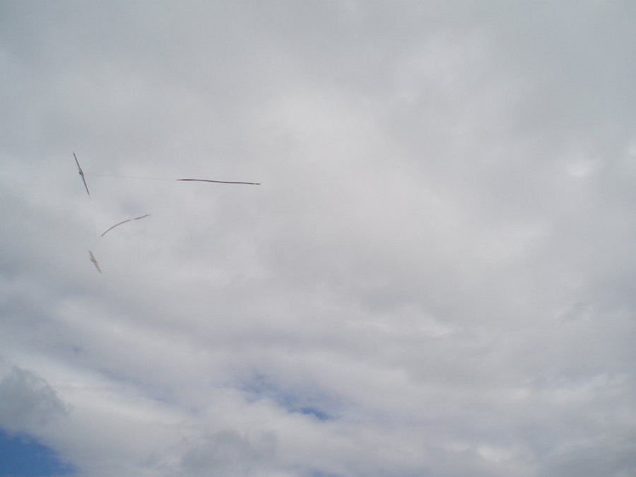 2007_0826_18g.jpg