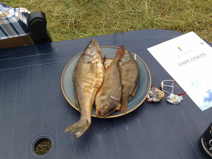 06072008336.jpg